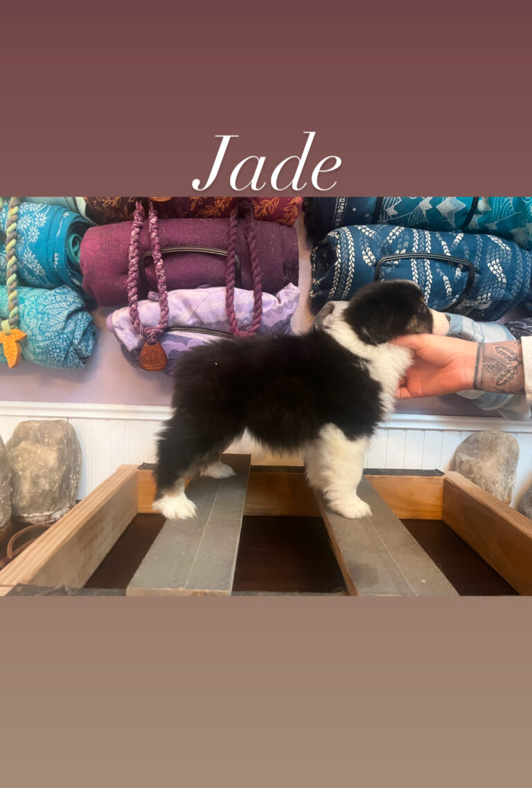 Jade