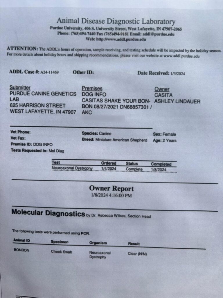 Purdue University laboratory report for Bon Bon: Neuroaxonal Dystrophy, Clear (N/N)