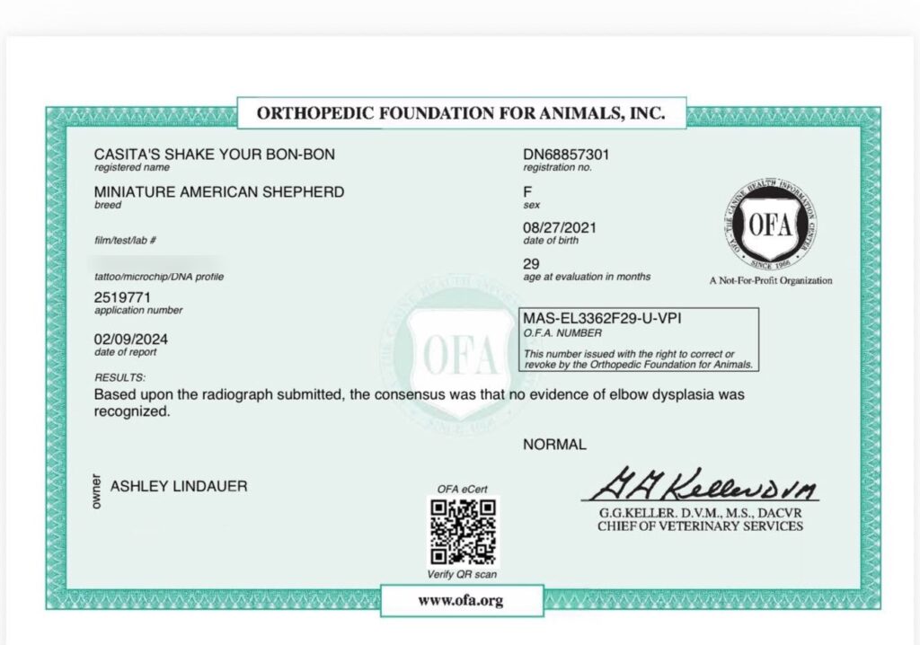 OFA elbow certificate for Casita’s Shake Your Bon-Bon: Normal