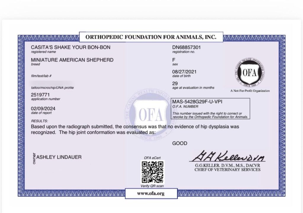 OFA hip certificate for Casita’s Shake Your Bon-Bon: Good