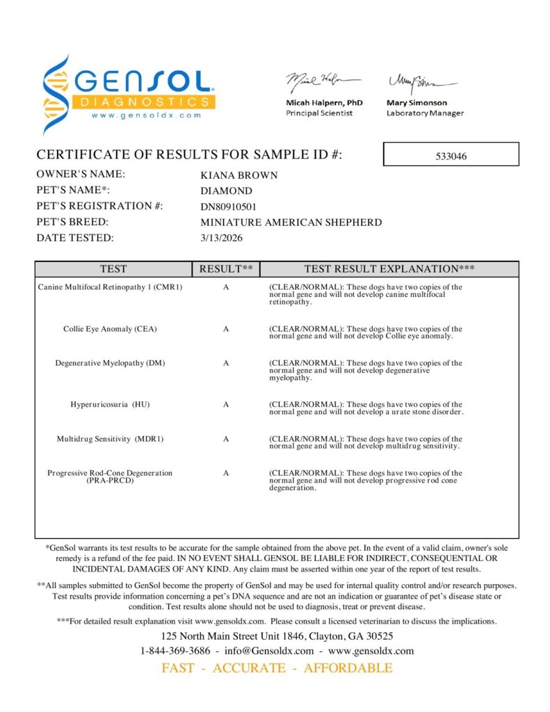 GenSol DNA results for Diamond, page 1 of 2