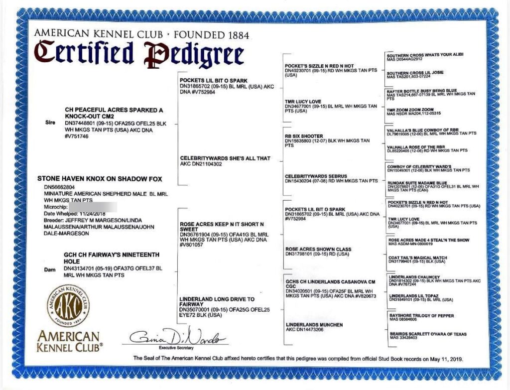 AKC Certified Pedigree for Stone Haven Knox on Shadow Fox