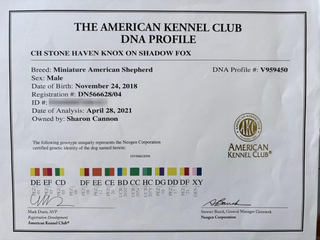AKC DNA Profile for CH Stone Haven Knox on Shadow Fox