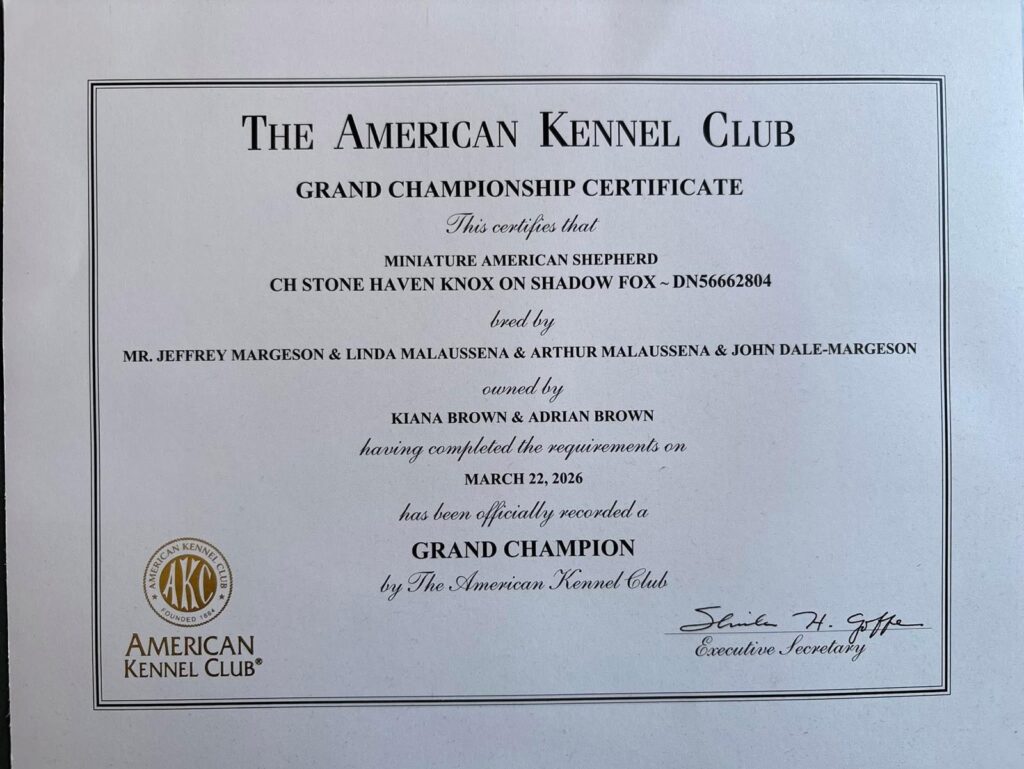 AKC Grand Championship certificate for CH Stone Haven Knox on Shadow Fox, March 22, 2026