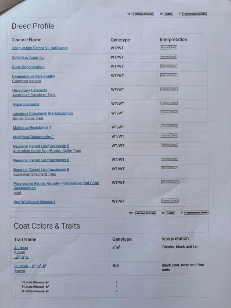Canine HealthCheck DNA panel for Lapis, page 2 of 9