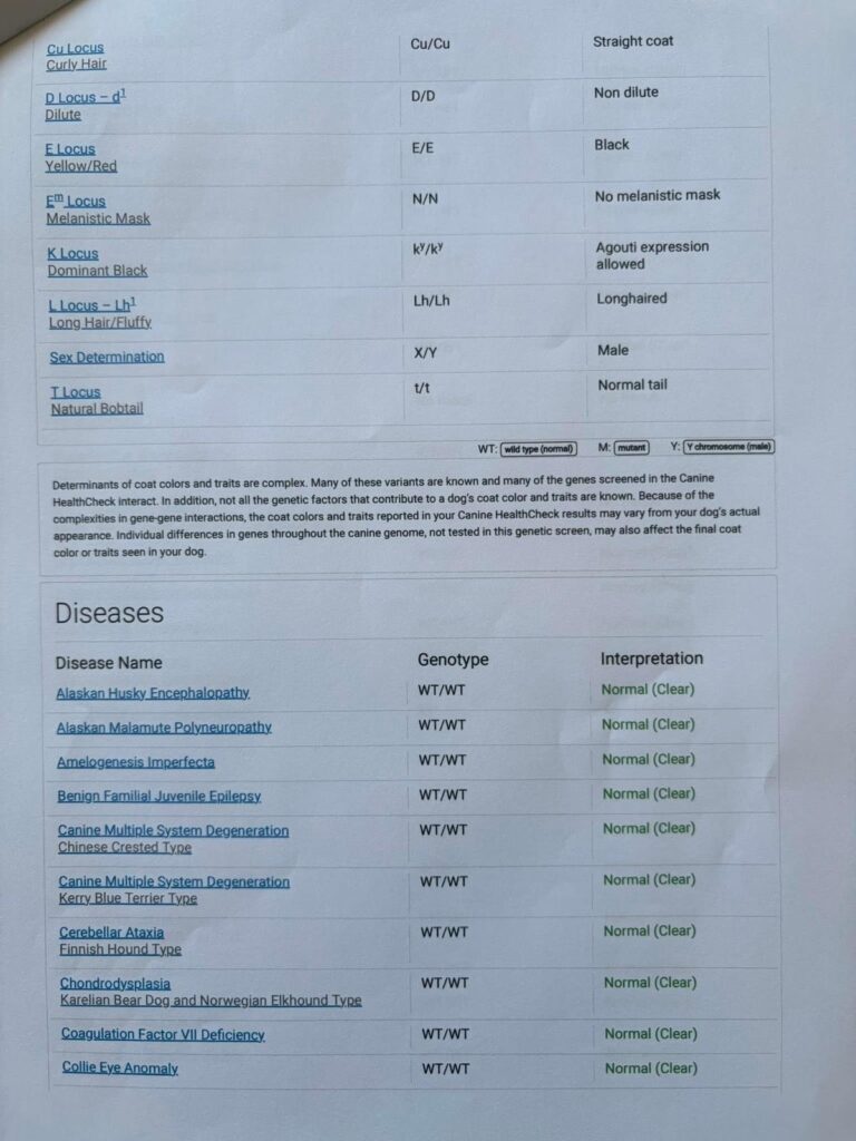 Canine HealthCheck DNA panel for Lapis, page 3 of 9