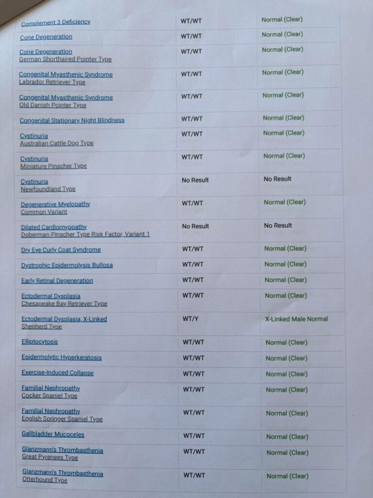 Canine HealthCheck DNA panel for Lapis, page 4 of 9