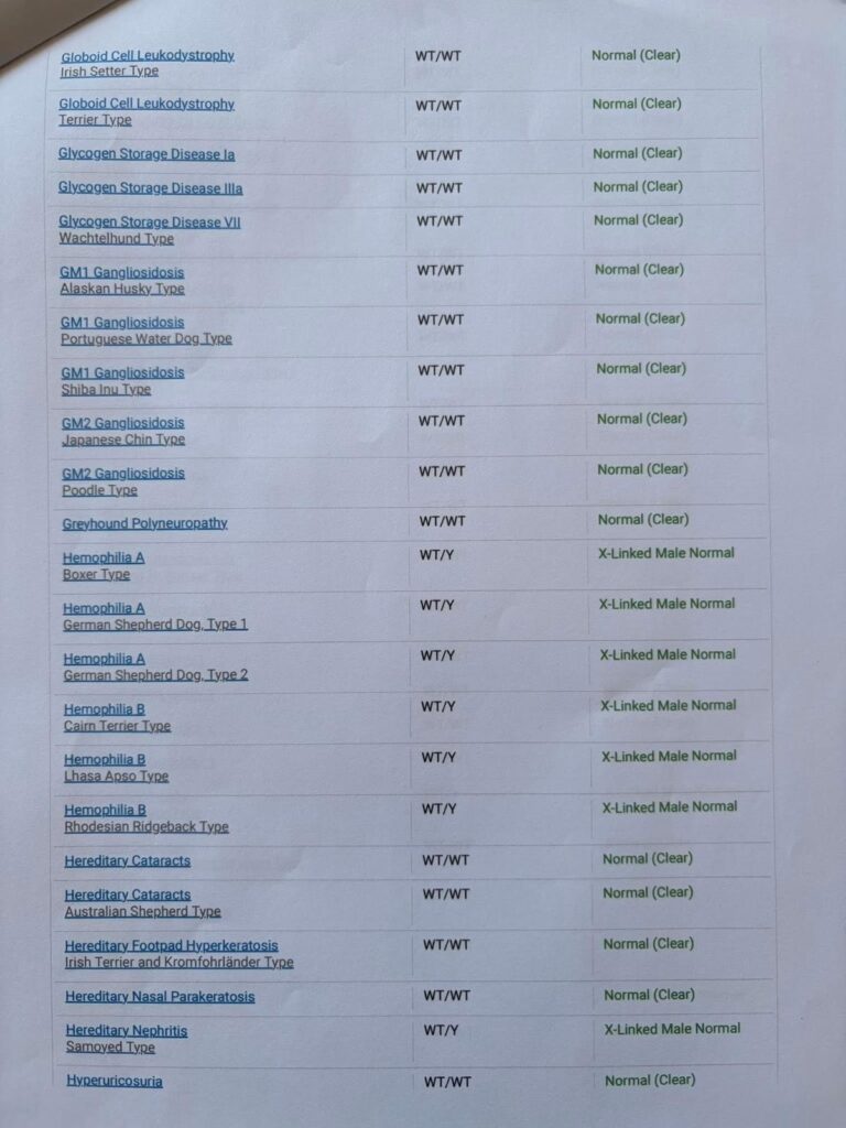 Canine HealthCheck DNA panel for Lapis, page 5 of 9