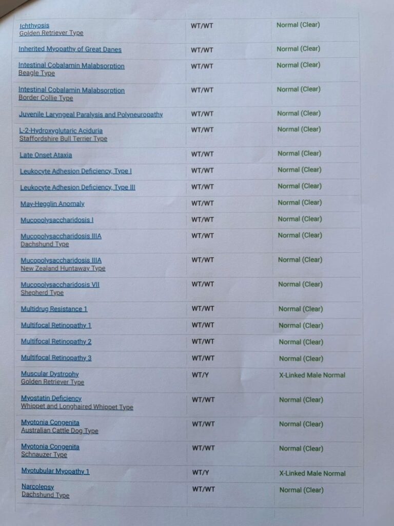 Canine HealthCheck DNA panel for Lapis, page 6 of 9
