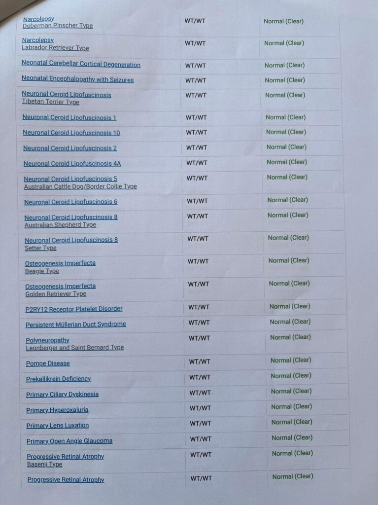 Canine HealthCheck DNA panel for Lapis, page 7 of 9