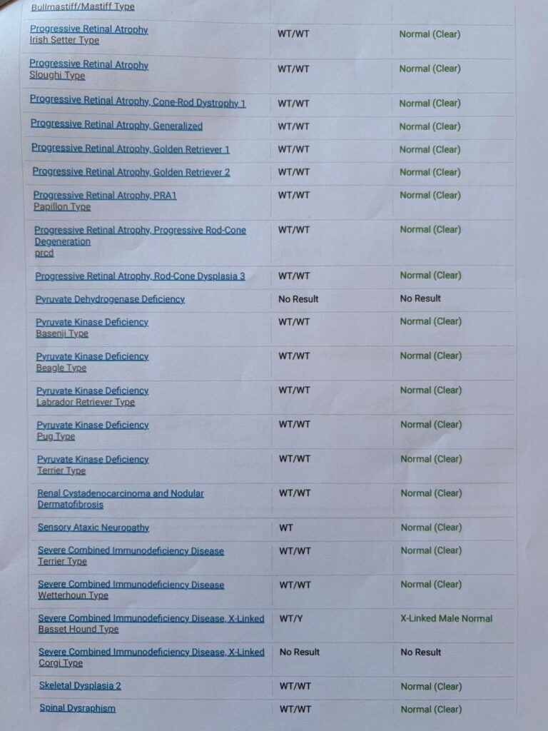 Canine HealthCheck DNA panel for Lapis, page 8 of 9
