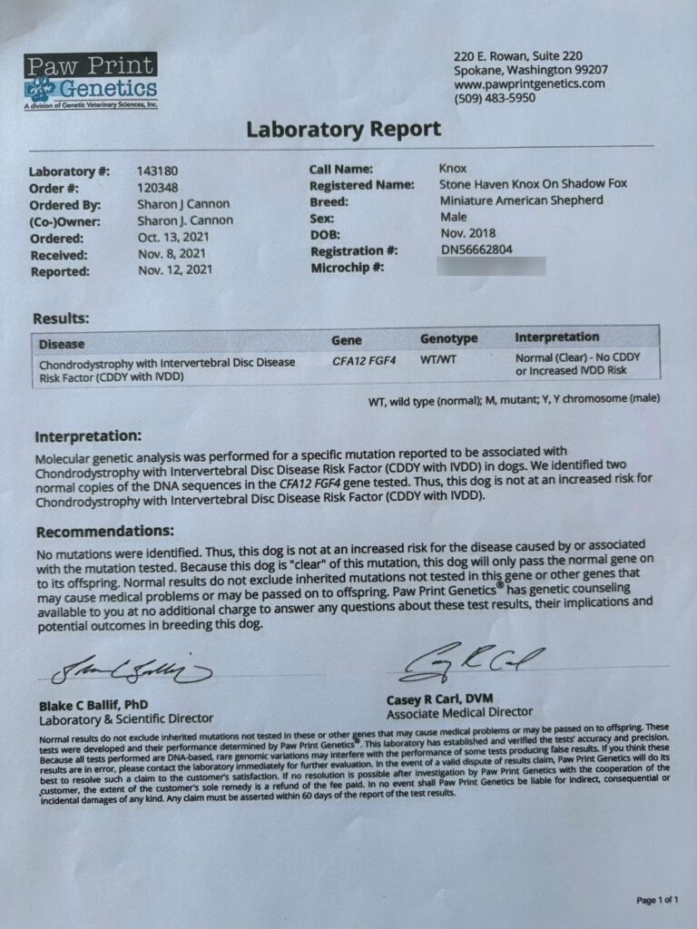 Paw Print Genetics laboratory report for Lapis: CDDY with IVDD, Normal (Clear)