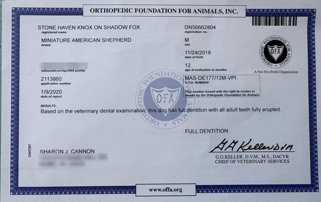 OFA dental certificate for Stone Haven Knox on Shadow Fox: Full dentition