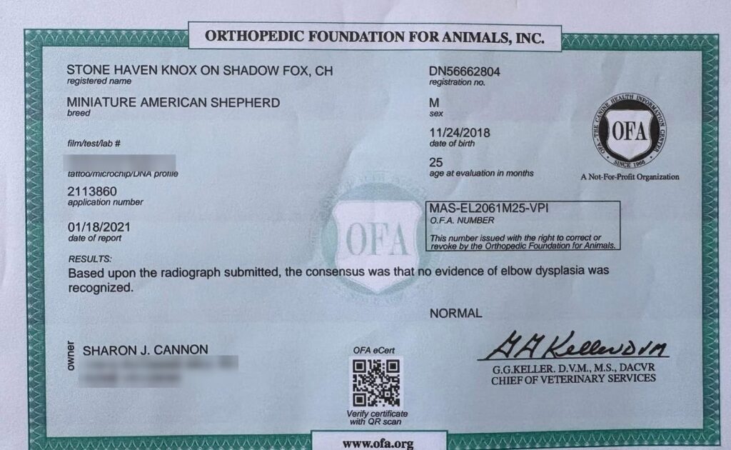 OFA elbow certificate for Stone Haven Knox on Shadow Fox: Normal