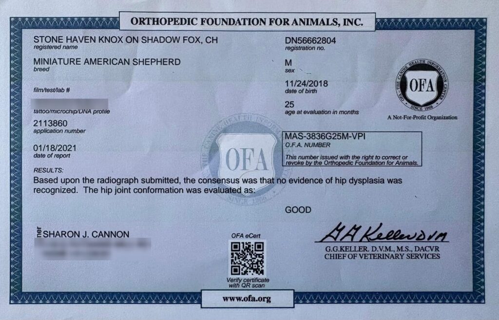OFA hip certificate for Stone Haven Knox on Shadow Fox: Good
