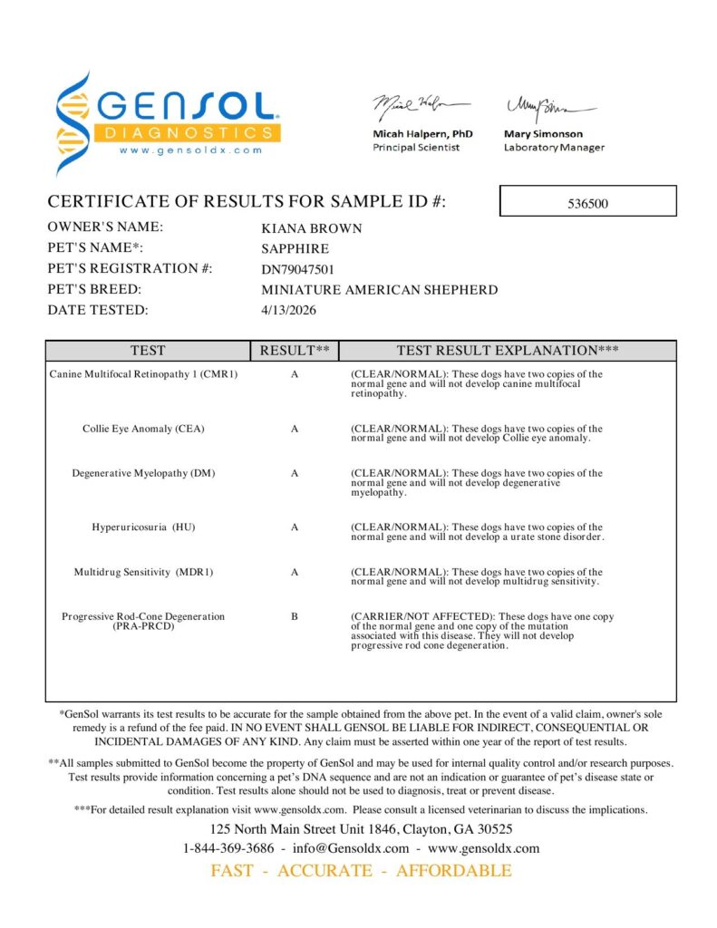 GenSol DNA results for Sapphire, page 1 of 2