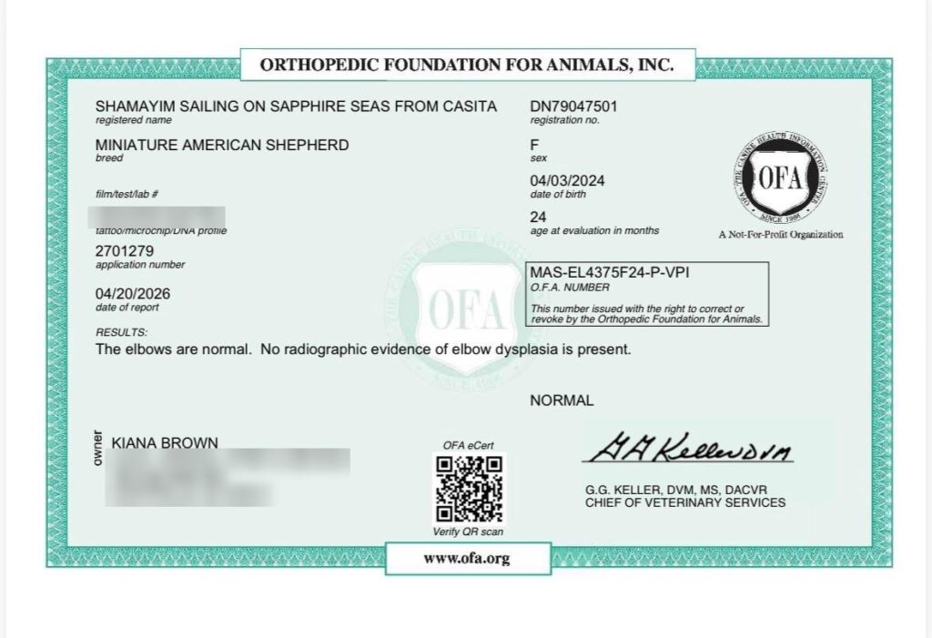 OFA elbow certificate for Shamayim Sailing On Sapphire Seas From Casita: Normal