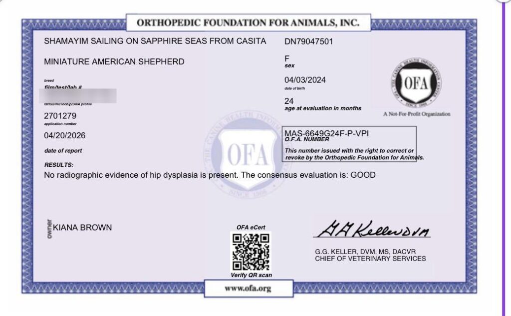 OFA hip certificate for Shamayim Sailing On Sapphire Seas From Casita: Good