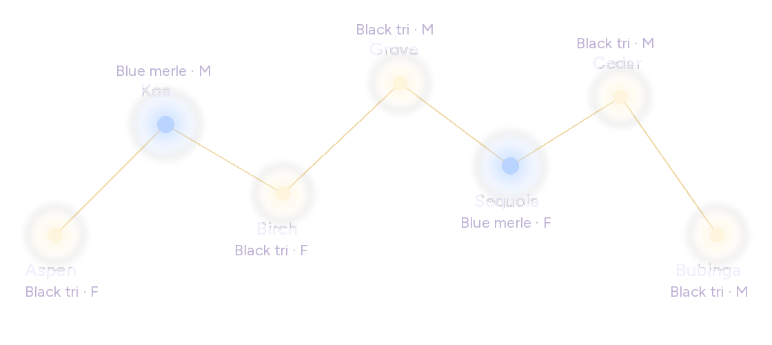 Tree Litter constellation: Aspen, Koa, Birch, Grove, Sequoia, Cedar and Bubinga
