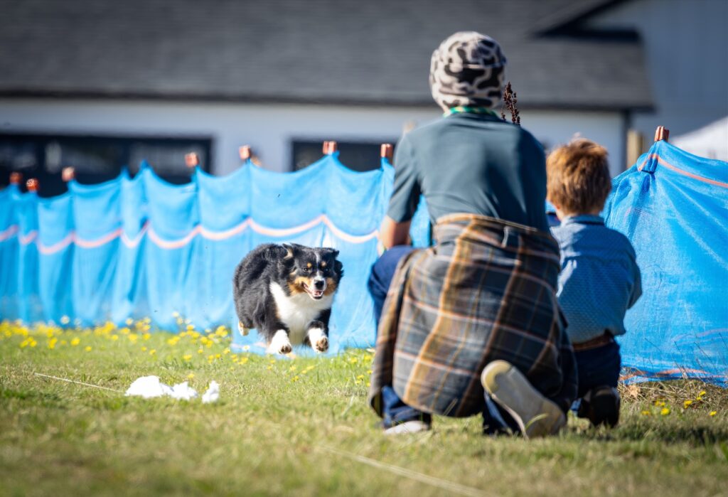 Emerald sprinting across the grass, mouth open in a grin, toward two people crouched and waiting for her
